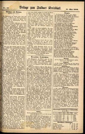 Zweite Ausgabe vom Samstag, den 15. Mai 1880.