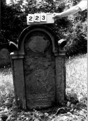 Grabstein 223