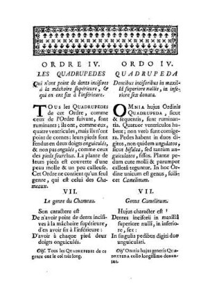Ordre IV. Les Quadrupedes qui n'ont point de dents incisives à la mâchoire supérieure, & qui en ont six à l'inférieure. - Ordo IV. Quadrupeda Dentibus incisoribus in maxillâ superiore nullis, in inferiore sex d