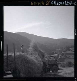 Landwirtschaft im Schwarzwald