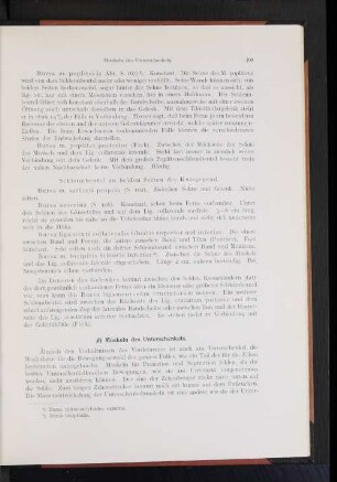 Muskeln des Unterschenkels.