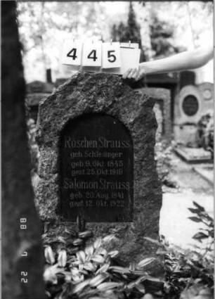 Grabstein 445