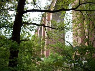 Jocketa: Elstertalbrücke