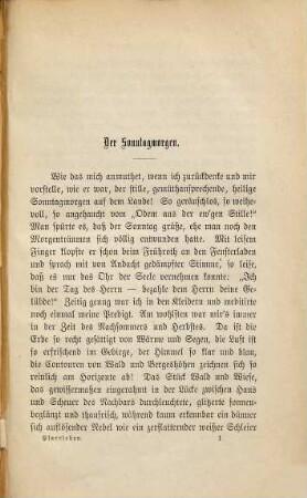 Pfarrleben in einem Gebirgsdorfe : Kulturgeschichtliche Bilder von einem hessischen Geistlichen