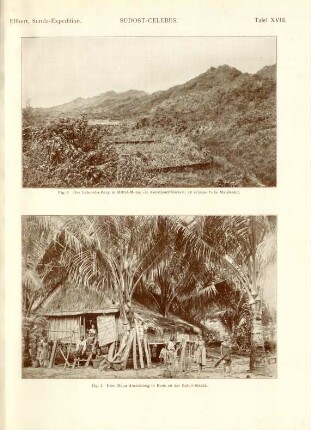 Tafel XVIII. Südost-Celebes. Fig. 1. Labumba-Berg in Mittel-Muna, ... Fig. 2. Eine Muna-Ansiedlung in Bone an der Buton-Straße