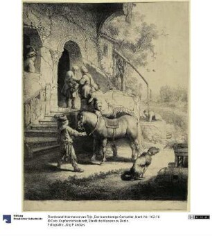 Der barmherzige Samariter