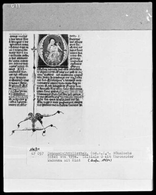 Böhmische Bibel: Initiale mit thronender Madonna mit Kind
