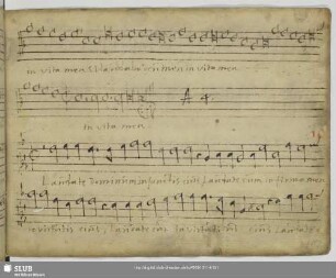 Gallus, Iacobus: Laudate Dominum in sanctis ejus