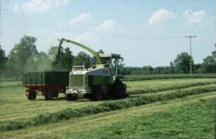 Fotografie: Ernteverfahren, Grassilage, Feldhäcksler selbstfahrend, Parallelverfahren