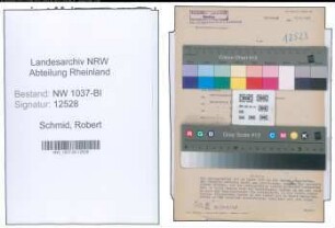 Entnazifizierung Robert Schmid , geb. 15.06.1888 (Architekt)