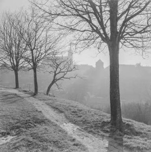 Bautzen von Norden : Bautzen. Blick auf die Stadt zum Dom St. Petri