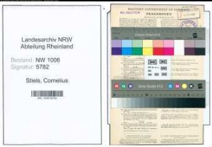 Entnazifizierung Cornelius Stiels , geb. 17.01.1911 (Landwirt)