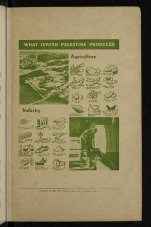 What jewish palestine produces