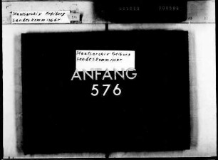 Bestallung des Leander Hauser in Konstanz, Glärnischerstr. 1, zum Versteigerer beweglicher Sachen und von Kunstgegenständen für die Amtsbezirke Konstanz und Überlingen