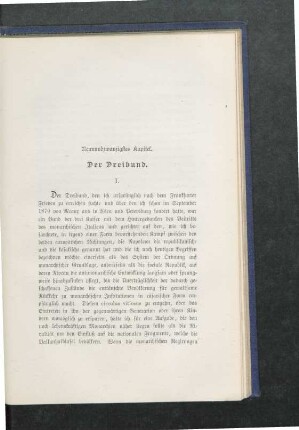 Neunundzwanzigstes Kapitel. Der Dreibund