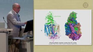 Photosynthetic Light Reactions, Revisited
