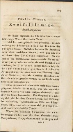 Fünfte Classe. Zweifelblumige.
