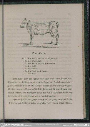 Das Kalb