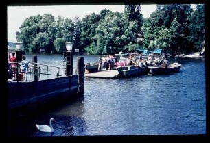 Pfaueninsel Fähre 6.8.68.