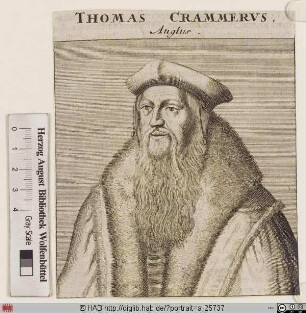 Bildnis Thomas Cranmer