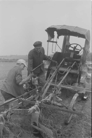 Landwirtschaftsschule in Crostwitz. Feldarbeit. : Ratarska šula w Chrósćicach. Pólne dźěła.