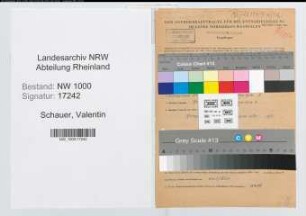 Entnazifizierung Valentin Schauer, geb. 02.09.1897 (Ingenieur)