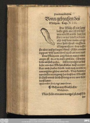 Vonn gebrechen des Miltzen. Cap. VIII.