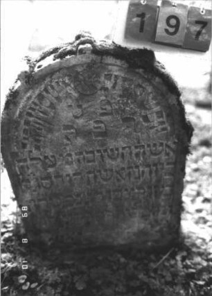 Grabstein 197 (Index: 99800026) Material: Sandstein Zustand: verwittert Maße HxBxT: 89x57x12 cm Beschreibung: Stele, Rundbogenabschluß, Schriftfeld eingetieft Symbolik: Rosette: Grabstein 197 (1)