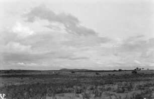 Inselberge : Inselberge im Bundesstaat Mato Grosso.