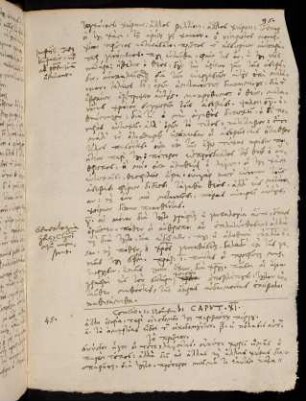 95-96, 1.11.1565, Gen 11 (Fortsetzung auf S. 98)