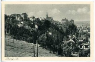 Leisnig. Blick auf Leisnig
