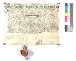 Güterverkauf durch Kloster Wiblingen zu Steinberg
