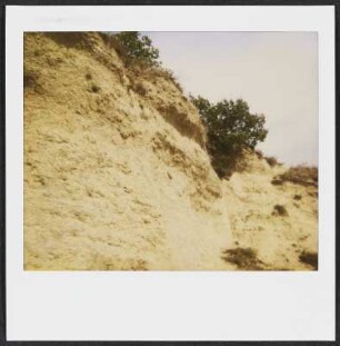 Muschelberg bei Marsanne im Departement Drôme