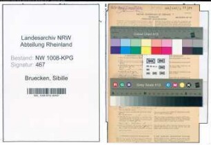 Entnazifizierung Sibille Bruecken , geb. 01.06.1912 (Blumenbinderin)