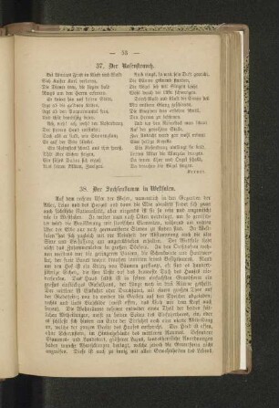 37. Der Rosenstrauch.