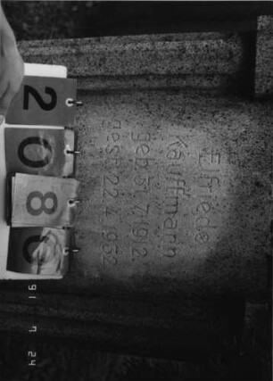 Grabstein 2080 [Hahn S. 115 Grab-Nr. 3021]: Grabstein 2080 (Detailaufnahme 1) [Hahn S. 115 Grab-Nr. 3021]