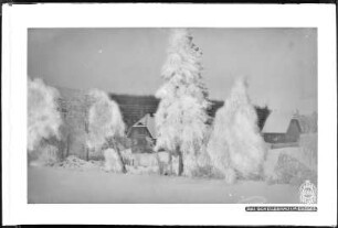 Schellerhau im Erzgebirge mit Schnee