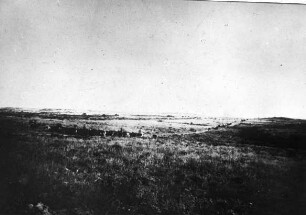 Grassteppe mit Wagen und Ochsen.