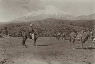 Cotopaxi von Südwesten