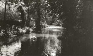 Dittersbach (Dürrröhrsdorf-Dittersbach). Schloßpark Dittersbach