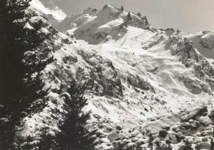 Zentralkaukasus. Oberes Schelda-Tal gegen Pik Kawkas (3900 m) an der Waldgrenze