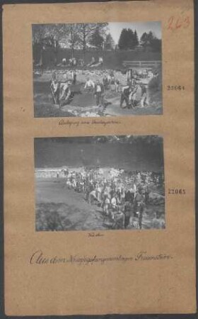 Kriegsgefangenenlager Traunstein (Anlegung eines Gemüsegartens)