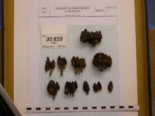 Pfeile, alle in der Mitte gebrochen, 21 untere Hälften und sechs obere Stücke, ...