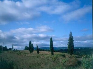 Italien. Toskana. Cecina. Landschaft im Ortsteil San Pietro