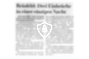 Reinfeld: Drei Einbrüche in einer einzigen Nacht