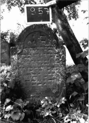 Grabstein 957 (Index: 100103870) Material: Sandstein Zustand: Inschrift angewittert, unten stark verwittert, stark bewachsen Maße HxBxT: 93x54x10 cm Beschreibung: Stele, eingezogener Rundbogenabschluss, Schriftfeld eingetieft mit Konvexbogenabschluss Besonderheit: Kind: Grabstein 957