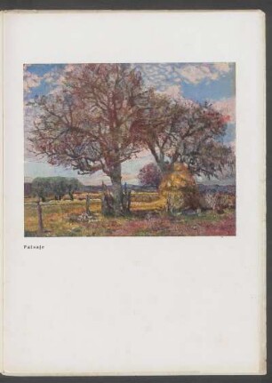 "Paisaje" - [Ilustración]