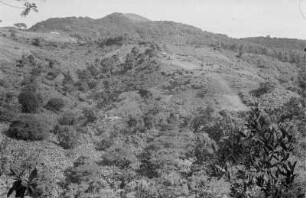 Landschaftsaufnahme : Blick auf einen Hang oberhalb von Lushoto.