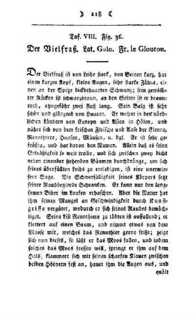 ¬Der¬ Vielfraß : Taf. VIII, Fig. 36