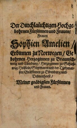 Johann Risten Poetischer Schauplatz : Auff welchem allerhand Waaren Gute und Böse Kleine und Große Freude und Leid-zeugende zu finden